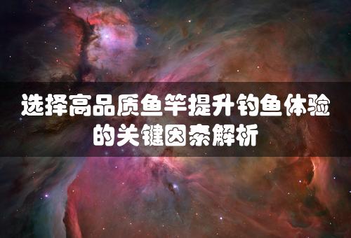 选择高品质鱼竿提升钓鱼体验的关键因素解析