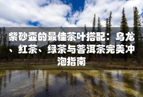 紫砂壶的最佳茶叶搭配：乌龙、红茶、绿茶与普洱茶完美冲泡指南