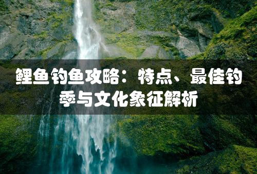 鲤鱼钓鱼攻略：特点、最佳钓季与文化象征解析