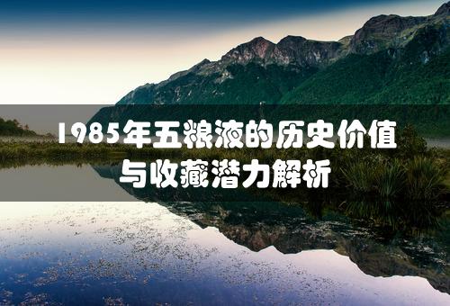 1985年五粮液的历史价值与收藏潜力解析