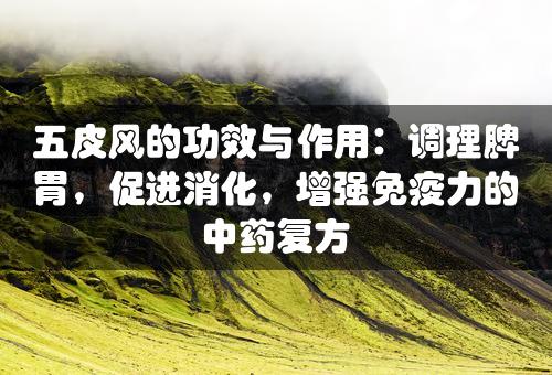 五皮风的功效与作用：调理脾胃，促进消化，增强免疫力的中药复方