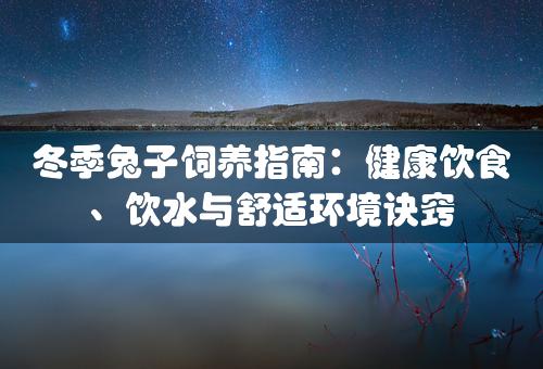 冬季兔子饲养指南：健康饮食、饮水与舒适环境诀窍