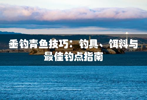 垂钓青鱼技巧：钓具、饵料与最佳钓点指南