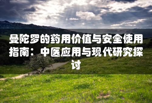 曼陀罗的药用价值与安全使用指南：中医应用与现代研究探讨