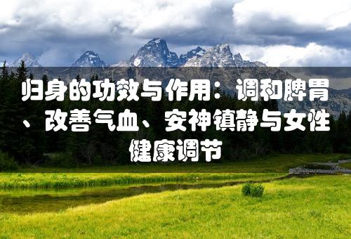 归身的功效与作用：调和脾胃、改善气血、安神镇静与女性健康调节