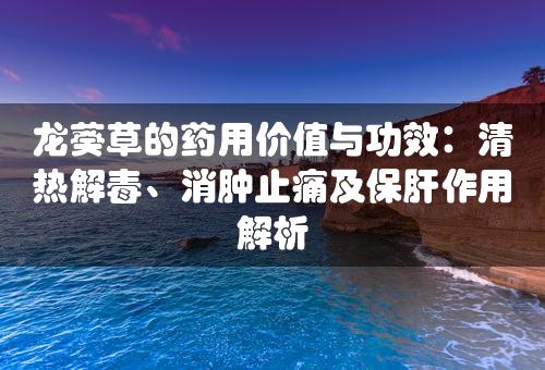 龙葵草的药用价值与功效：清热解毒、消肿止痛及保肝作用解析