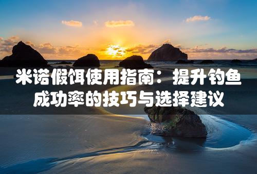 米诺假饵使用指南：提升钓鱼成功率的技巧与选择建议