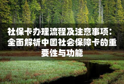 社保卡办理流程及注意事项：全面解析中国社会保障卡的重要性与功能