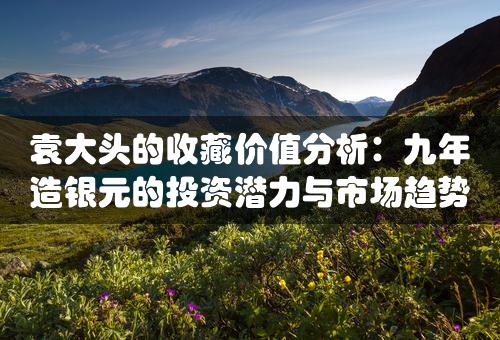 袁大头的收藏价值分析：九年造银元的投资潜力与市场趋势