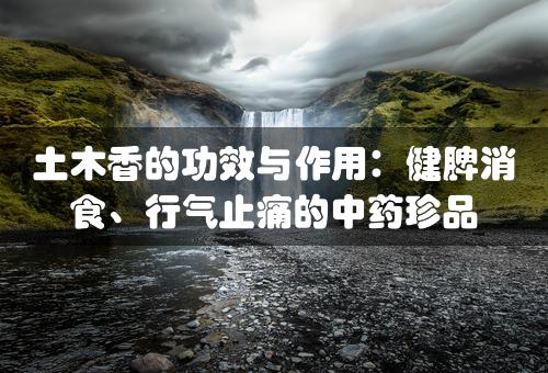 土木香的功效与作用：健脾消食、行气止痛的中药珍品