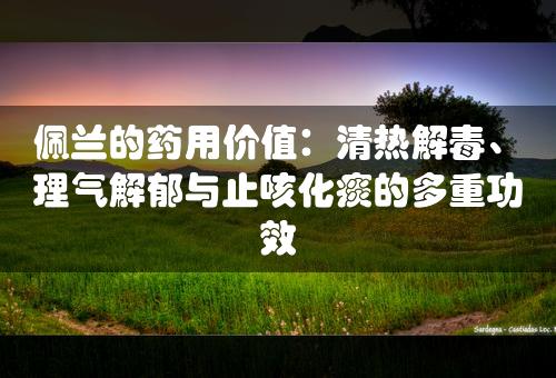 佩兰的药用价值：清热解毒、理气解郁与止咳化痰的多重功效