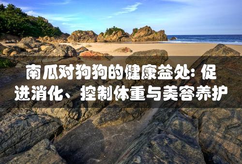 南瓜对狗狗的健康益处: 促进消化、控制体重与美容养护