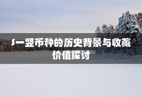 S一竖币种的历史背景与收藏价值探讨