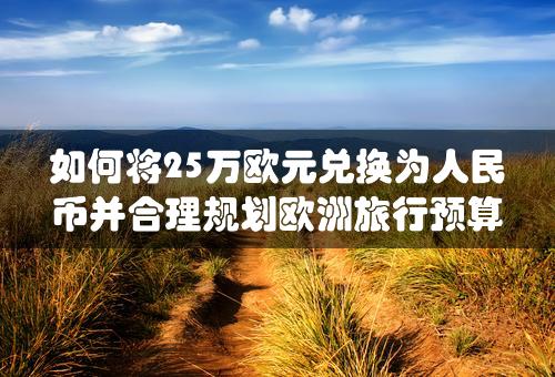 如何将25万欧元兑换为人民币并合理规划欧洲旅行预算