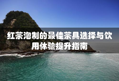 红茶泡制的最佳茶具选择与饮用体验提升指南