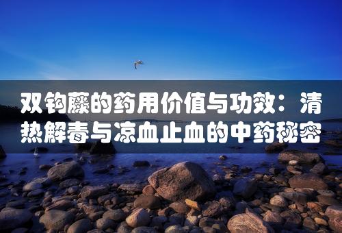 双钩藤的药用价值与功效：清热解毒与凉血止血的中药秘密