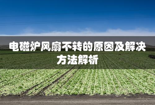 电磁炉风扇不转的原因及解决方法解析