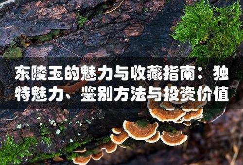 东陵玉的魅力与收藏指南：独特魅力、鉴别方法与投资价值