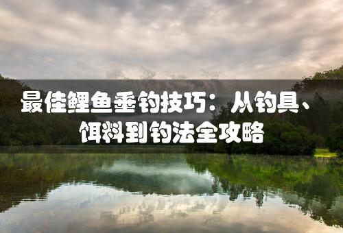 最佳鲤鱼垂钓技巧：从钓具、饵料到钓法全攻略