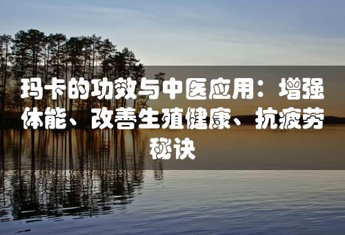 玛卡的功效与中医应用：增强体能、改善生殖健康、抗疲劳秘诀