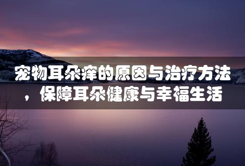 宠物耳朵痒的原因与治疗方法，保障耳朵健康与幸福生活