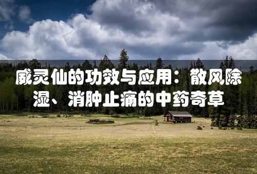 威灵仙的功效与应用：散风除湿、消肿止痛的中药奇草