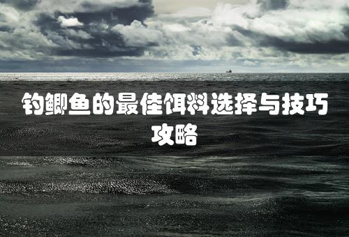 钓鲫鱼的最佳饵料选择与技巧攻略