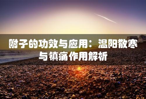 附子的功效与应用：温阳散寒与镇痛作用解析