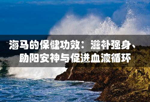 海马的保健功效：滋补强身、助阳安神与促进血液循环