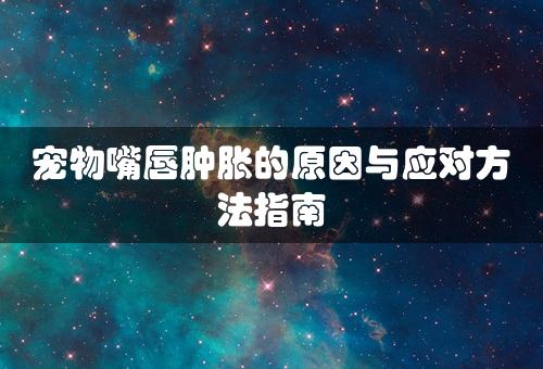 宠物嘴唇肿胀的原因与应对方法指南