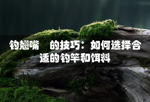 钓翘嘴鲌的技巧：如何选择合适的钓竿和饵料