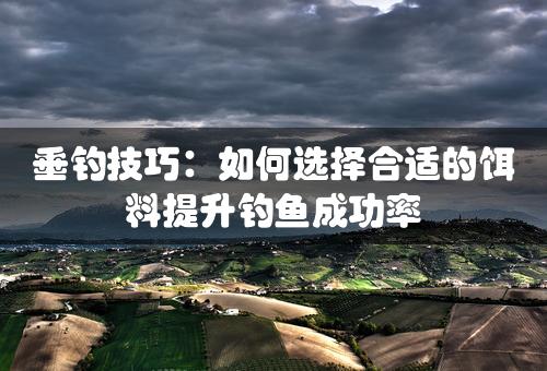 垂钓技巧：如何选择合适的饵料提升钓鱼成功率