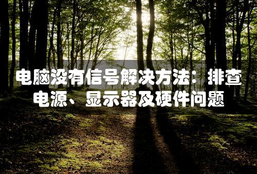 电脑没有信号解决方法：排查电源、显示器及硬件问题