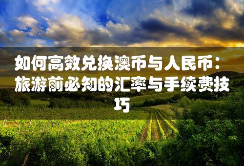 如何高效兑换澳币与人民币：旅游前必知的汇率与手续费技巧