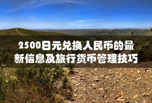 2500日元兑换人民币的最新信息及旅行货币管理技巧