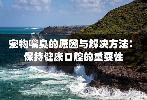 宠物嘴臭的原因与解决方法：保持健康口腔的重要性