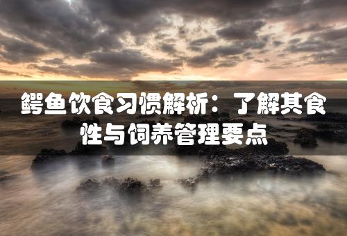 鳄鱼饮食习惯解析：了解其食性与饲养管理要点