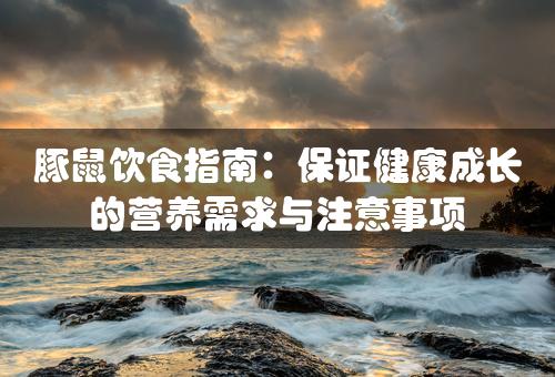 豚鼠饮食指南：保证健康成长的营养需求与注意事项