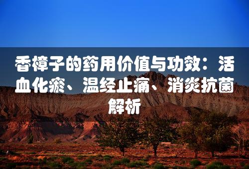 香樟子的药用价值与功效：活血化瘀、温经止痛、消炎抗菌解析