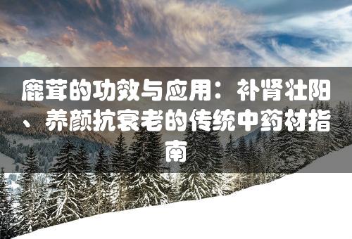 鹿茸的功效与应用：补肾壮阳、养颜抗衰老的传统中药材指南