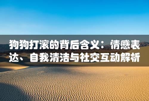 狗狗打滚的背后含义：情感表达、自我清洁与社交互动解析