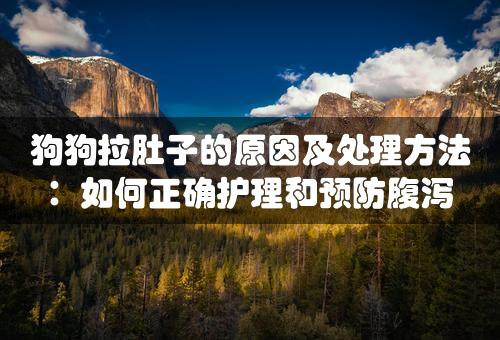 狗狗拉肚子的原因及处理方法：如何正确护理和预防腹泻