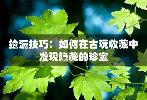 捡漏技巧：如何在古玩收藏中发现隐藏的珍宝