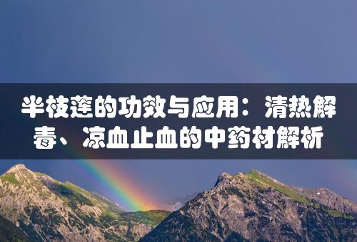 半枝莲的功效与应用：清热解毒、凉血止血的中药材解析