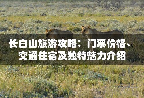 长白山旅游攻略：门票价格、交通住宿及独特魅力介绍