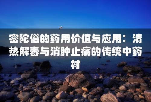 密陀僧的药用价值与应用：清热解毒与消肿止痛的传统中药材