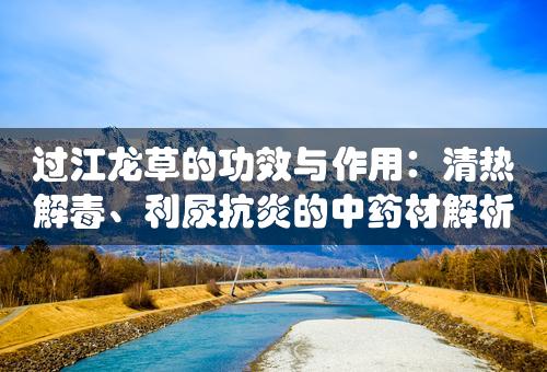 过江龙草的功效与作用：清热解毒、利尿抗炎的中药材解析