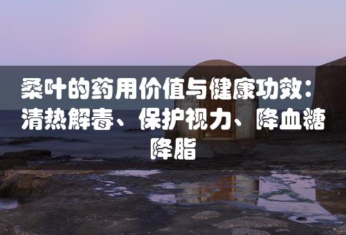 桑叶的药用价值与健康功效：清热解毒、保护视力、降血糖降脂