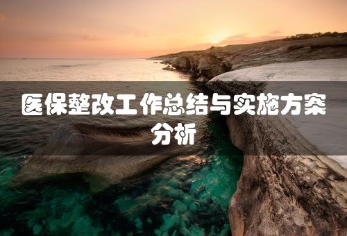 医保整改工作总结与实施方案分析