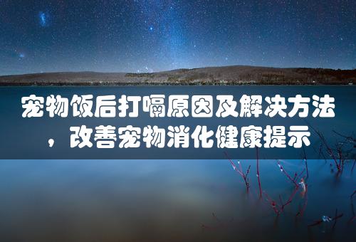 宠物饭后打嗝原因及解决方法，改善宠物消化健康提示